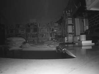 voyeurcam-bridgetleewalters-02