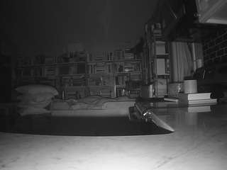 voyeurcam-bridgetleewalters-02 webcam model