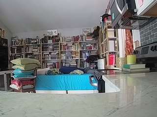 voyeurcam bridgetleewalters 02