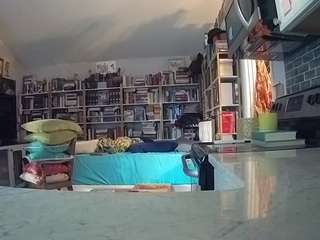 voyeurcam-bridgetleewalters-02