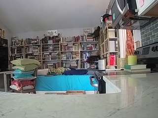 voyeurcam-bridgetleewalters-02 webcam
