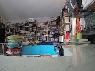 voyeurcam-bridgetleewalters-02