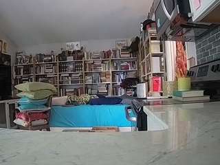 voyeurcam-bridgetleewalters-02 webcam