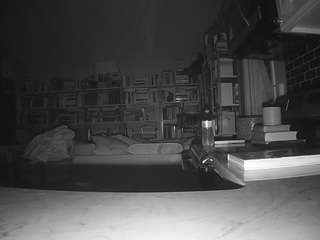 voyeurcam-bridgetleewalters-02