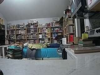 voyeurcam-bridgetleewalters-02