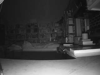 voyeurcam-bridgetleewalters-02