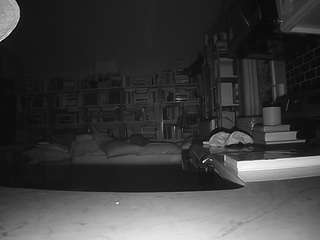 voyeurcam-bridgetleewalters-02