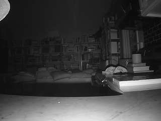 voyeurcam-bridgetleewalters-02