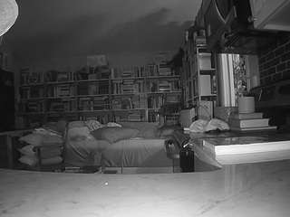 voyeurcam-bridgetleewalters-02 webcam