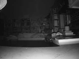 voyeurcam-bridge... Live Webcam on CamSoda