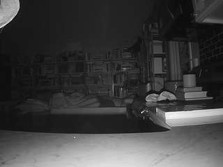 voyeurcam-bridgetleewalters-02