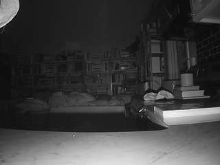 voyeurcam-bridgetleewalters-02