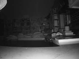 voyeurcam-bridgetleewalters-02