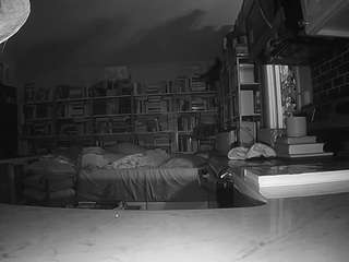 voyeurcam-bridgetleewalters-02