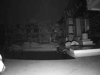 voyeurcam bridgetleewalters 02