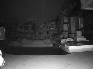 voyeurcam bridgetleewalters 02