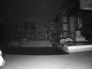 voyeurcam-bridgetleewalters-02