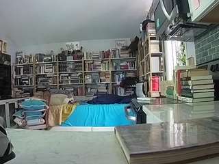 voyeurcam-bridgetleewalters-02
