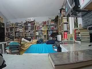 voyeurcam-bridgetleewalters-02