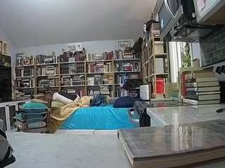 voyeurcam-bridgetleewalters-02