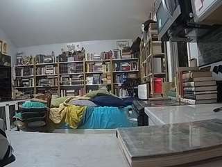 voyeurcam-bridgetleewalters-02
