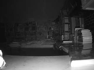 voyeurcam-bridgetleewalters-02