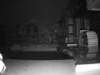 voyeurcam-bridgetleewalters-02