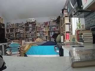 Live stream of voyeurcam-bridgetleewalters-02