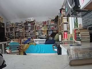 voyeurcam-bridgetleewalters-02