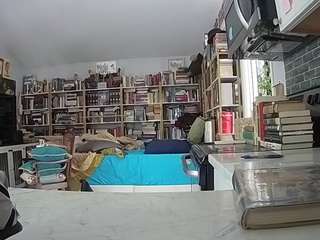 voyeurcam-bridgetleewalters-02