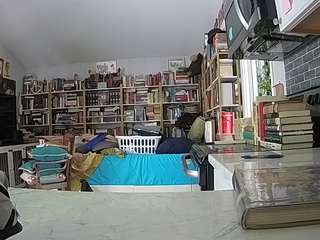 Live stream of voyeurcam-bridgetleewalters-02
