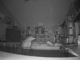 voyeurcam-bridgetleewalters-02