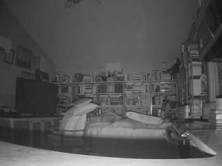 voyeurcam-bridgetleewalters-02