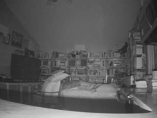 voyeurcam-bridgetleewalters-02