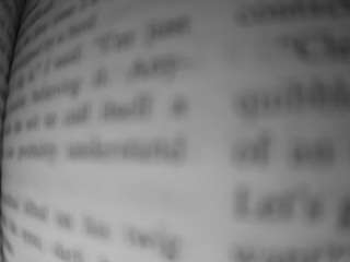 voyeurcam-bridgetleewalters-02