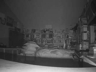 voyeurcam-bridgetleewalters-02