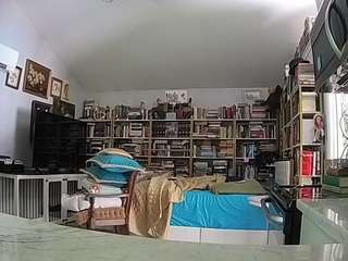 voyeurcam-bridgetleewalters-02 webcam