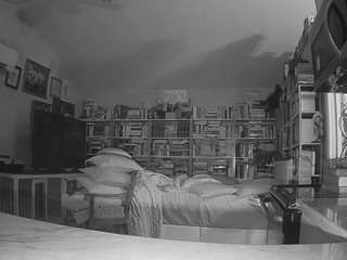 voyeurcam-bridgetleewalters-02