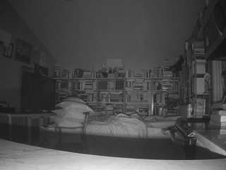 voyeurcam-bridgetleewalters-02