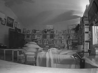voyeurcam-bridgetleewalters-02