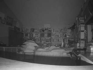 voyeurcam-bridgetleewalters-02