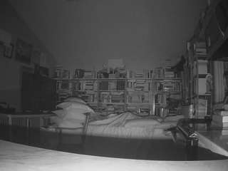 voyeurcam-bridgetleewalters-02