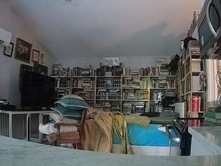 यह मॉडल अभी लाइव है. voyeurcam-bridgetleewalters-02