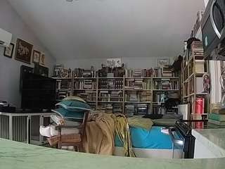 โมเดลนี้กำลังถ่ายทอดสดอยู่. voyeurcam-bridgetleewalters-02