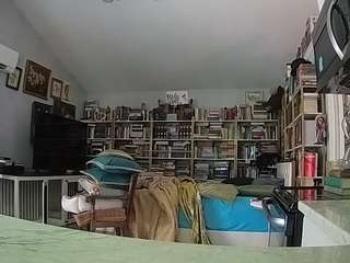 यह मॉडल अभी लाइव है. voyeurcam-bridgetleewalters-02