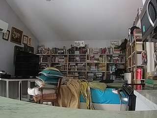 Ten model jest teraz na żywo. voyeurcam-bridgetleewalters-02