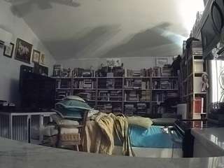 यह मॉडल अभी लाइव है. voyeurcam-bridgetleewalters-02