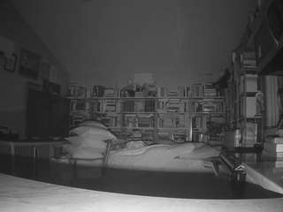 هذا النموذج مباشر الآن. voyeurcam-bridgetleewalters-02