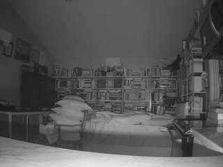 यह मॉडल अभी लाइव है. voyeurcam-bridgetleewalters-02
