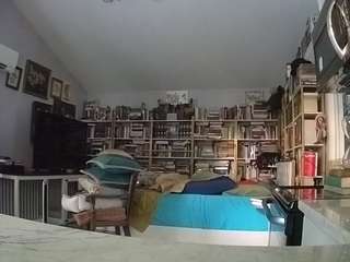 该模特正在直播。 voyeurcam-bridgetleewalters-02